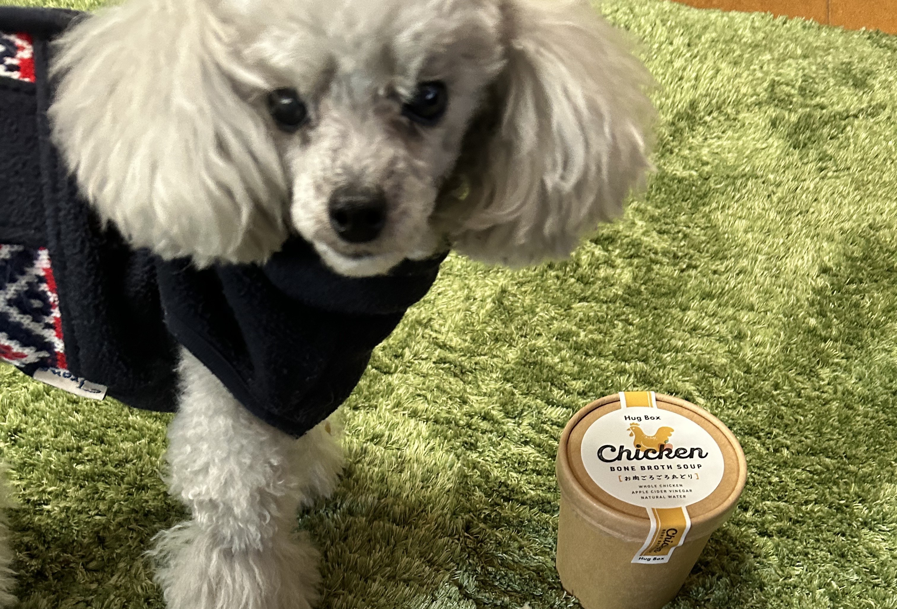 「食べムラが消えた！HUGBOX（ハグボックス）で若返った13歳のアトムくんの奇跡の変化」