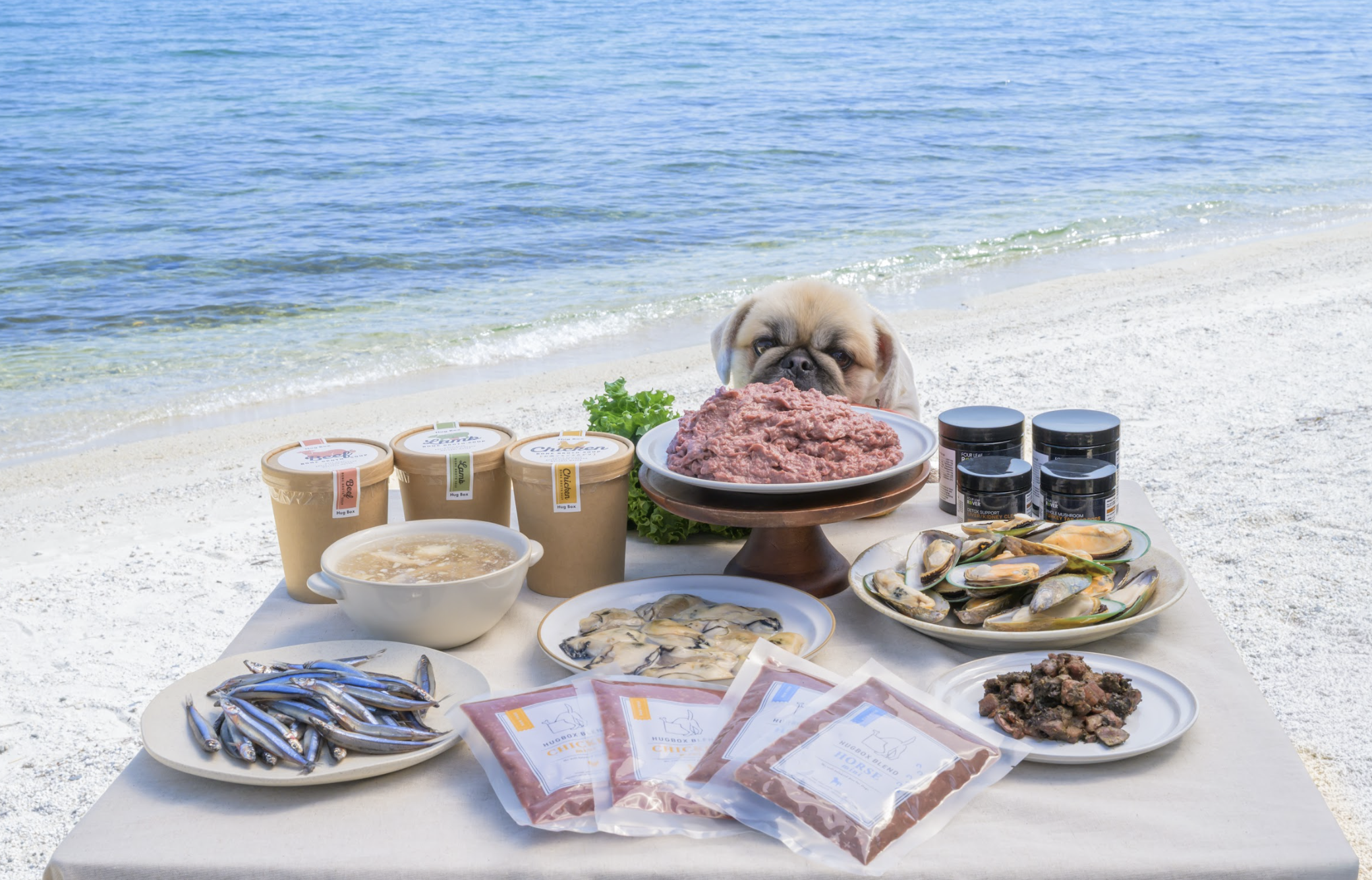 楽しいお出かけの時、冷凍管理どうしてる？｜HUGBOXのある外ごはん