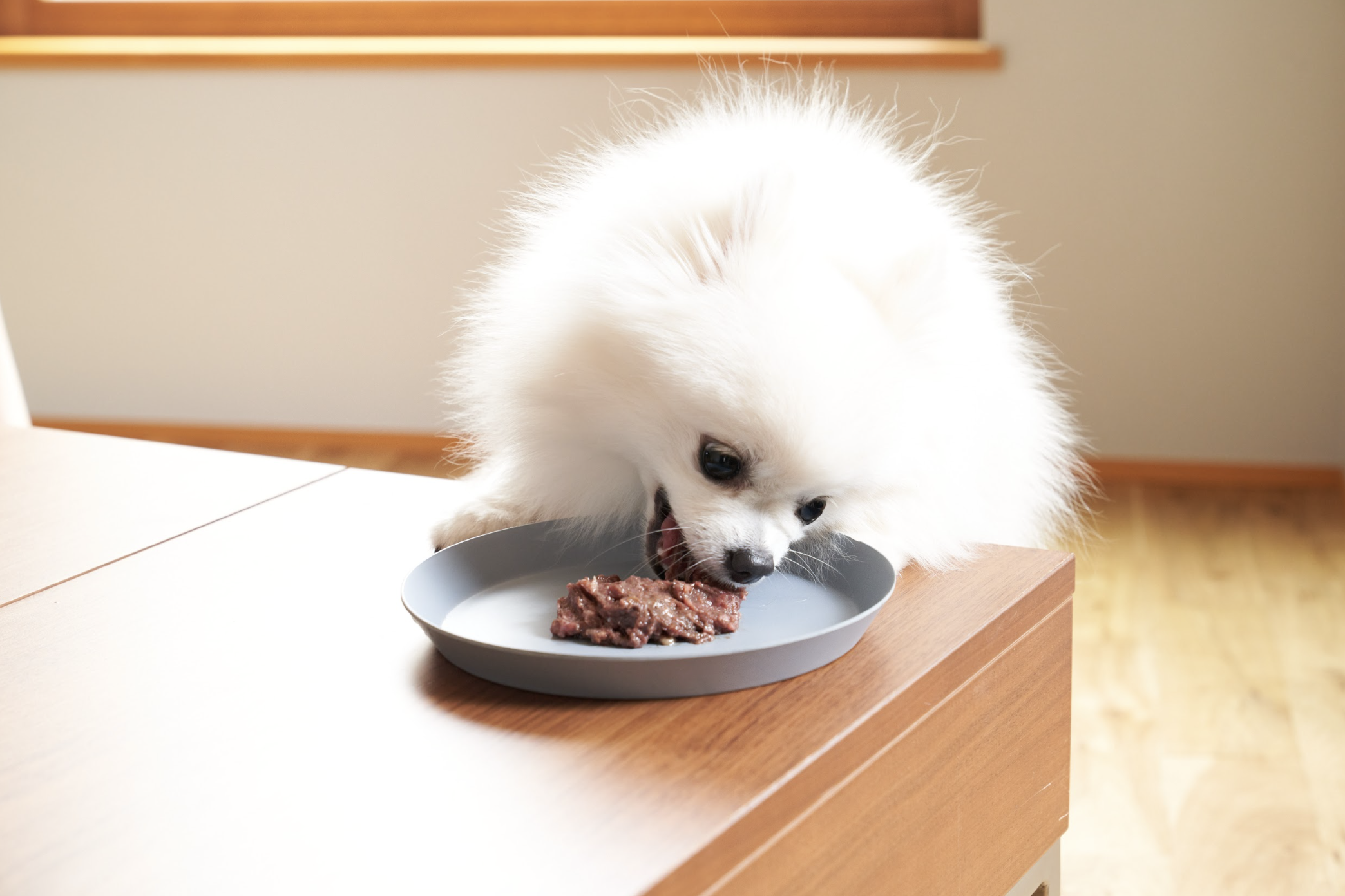 初めてのHUGBOX(ハグボックス)で失敗しないための5つの心得