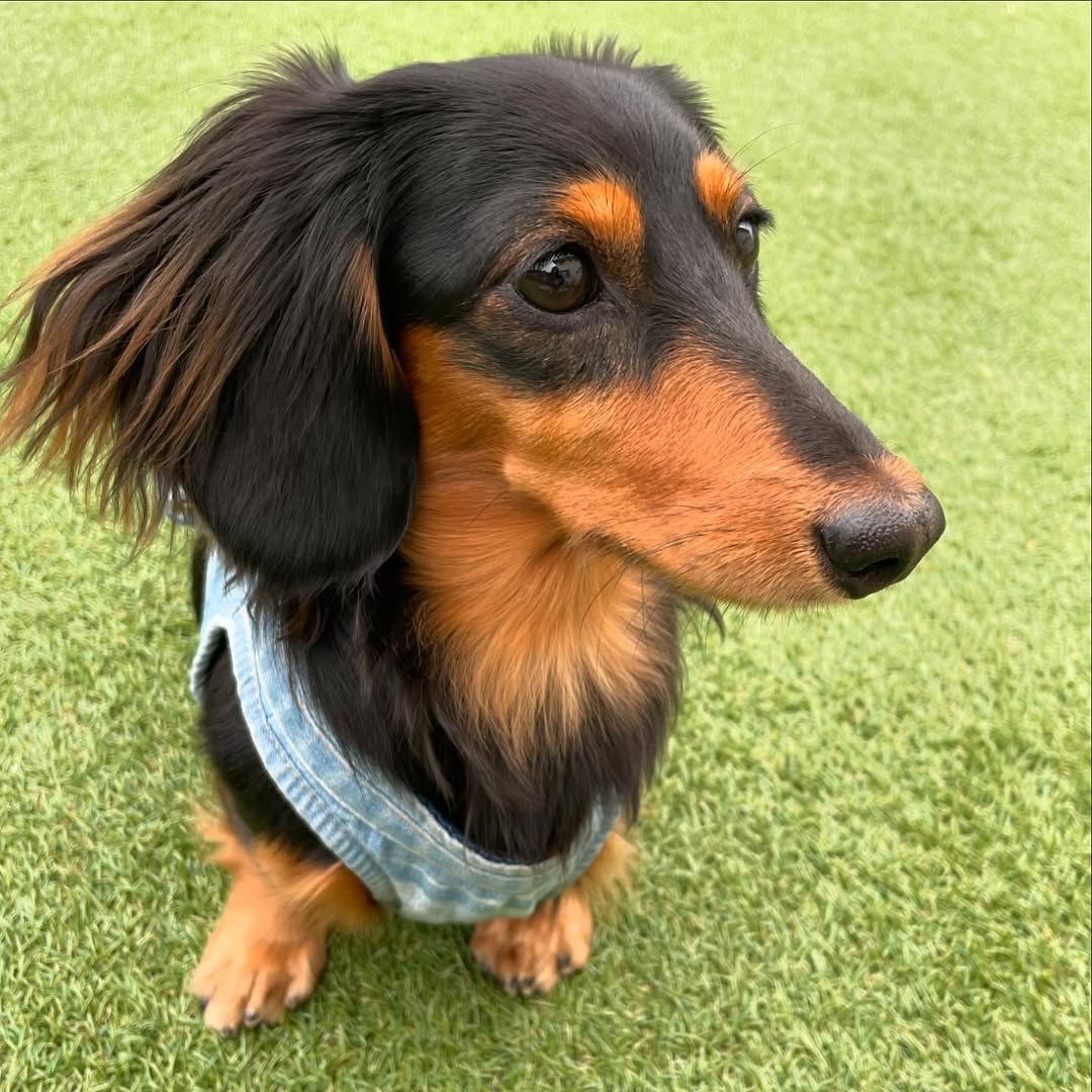 食糞がピタッと止まった！HUGBOX（ハグボックス）で理想のボディを手に入れたつむぎちゃんの体験談