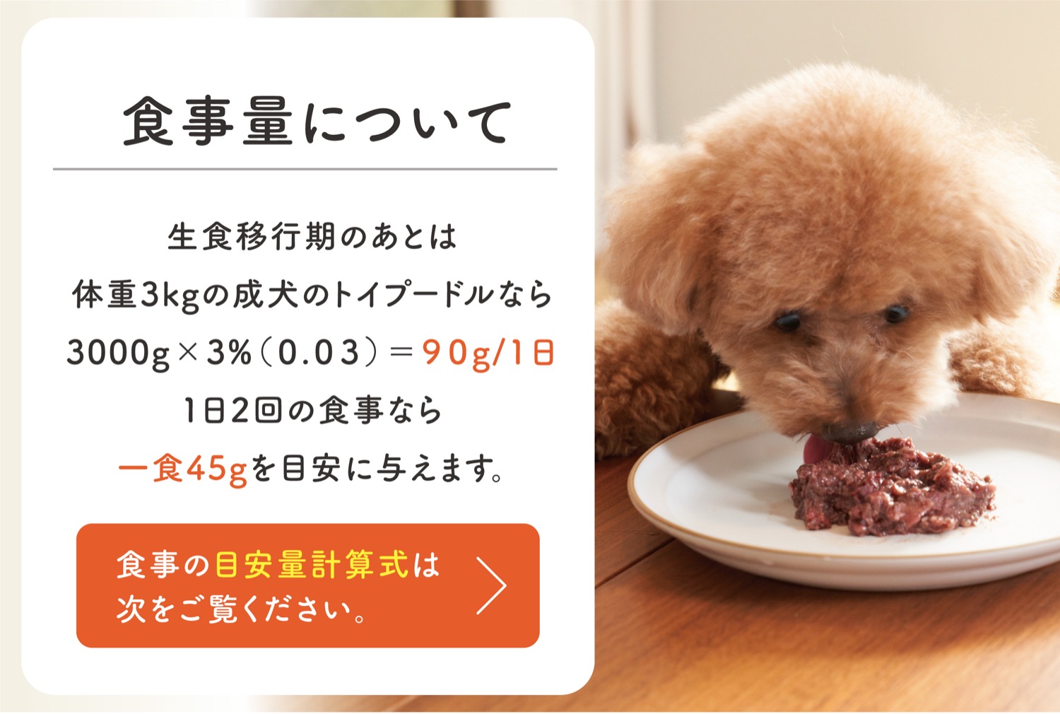 公式】HUGBOX（ハグボックス）｜手作り生食ドッグフード