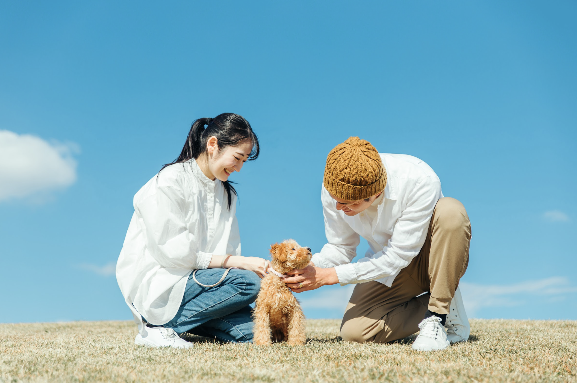 乾燥やフケに負けない！犬の皮膚と毛艶を守る内側からのケアごはん