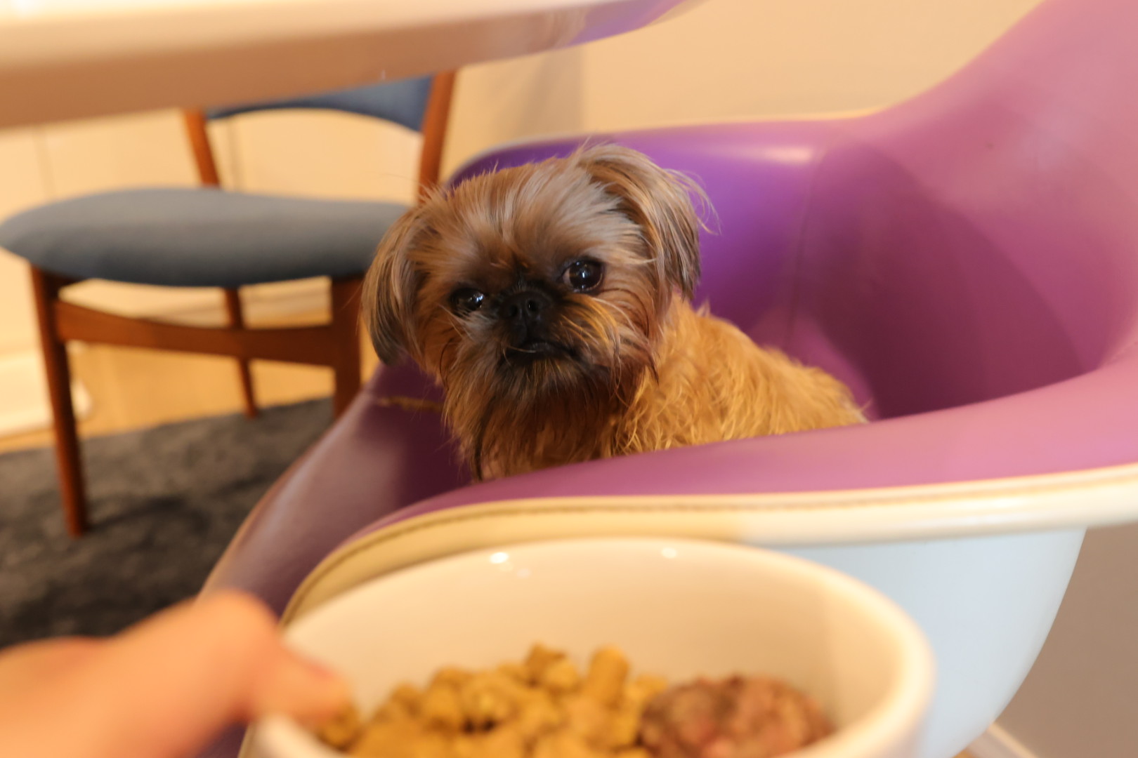 はじめてのHUGBOXで戸惑いやすいこと｜よくある変化と安心ポイント