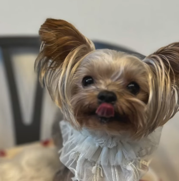 食べムラが落ち着いた！HUGBOX(ハグボックス)で食事時間を楽しむようになったぴのくんの体験談