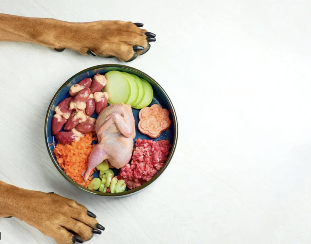 犬に生肉を与えて大丈夫？メリットとリスクを徹底解説