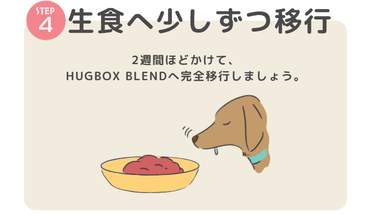HUGBOX BLEND(ハグボックスブレンド)の正しい使い方｜初めての生肉ごはんガイド