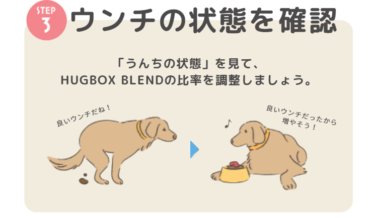 HUGBOX BLEND(ハグボックスブレンド)の正しい使い方｜初めての生肉ごはんガイド