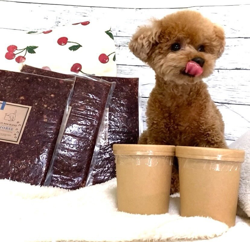 初めてのハグボックスブレンドを食べるモナちゃん