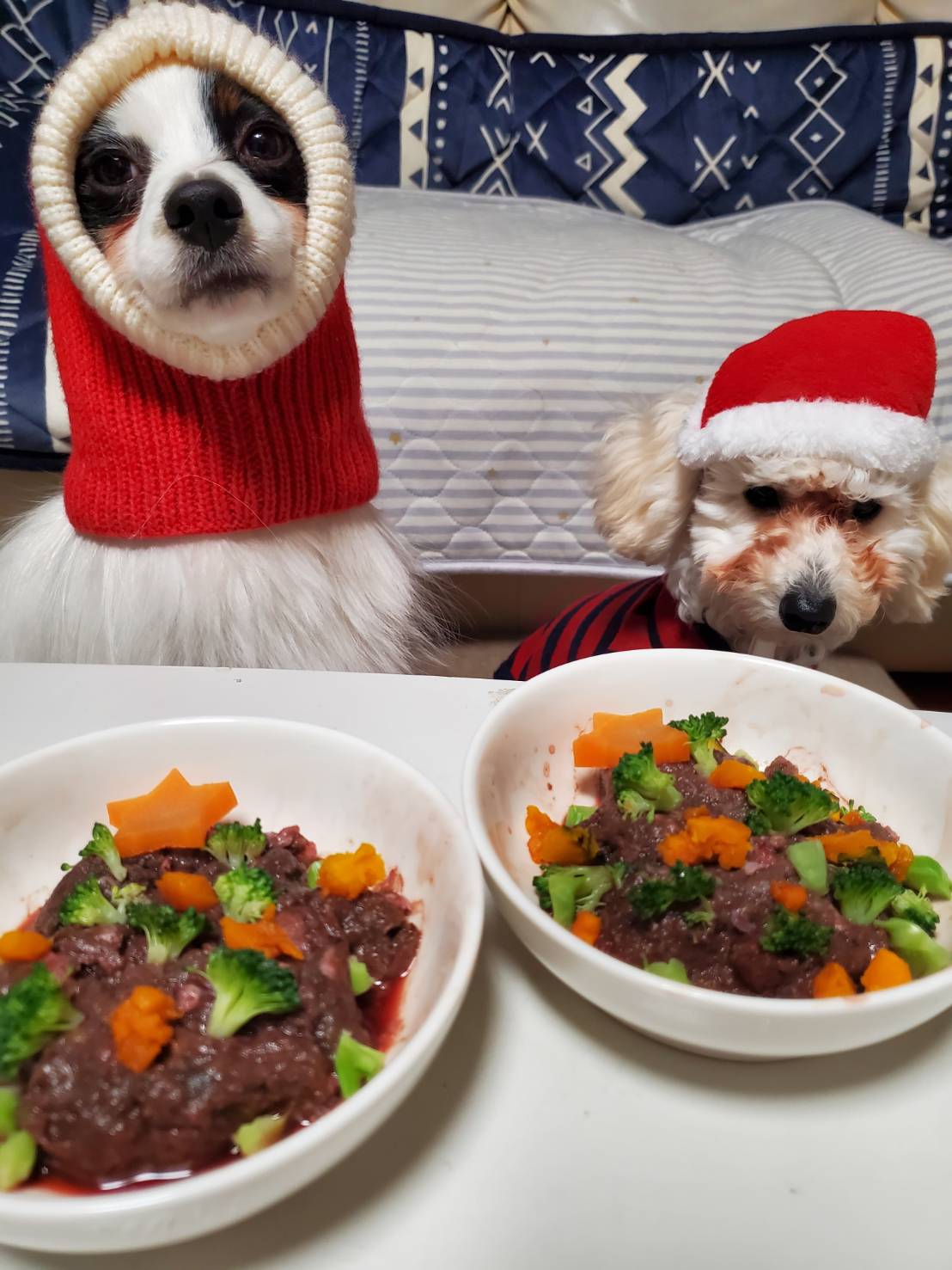 HUGBOXを始める前のナビくんとむぎちゃん