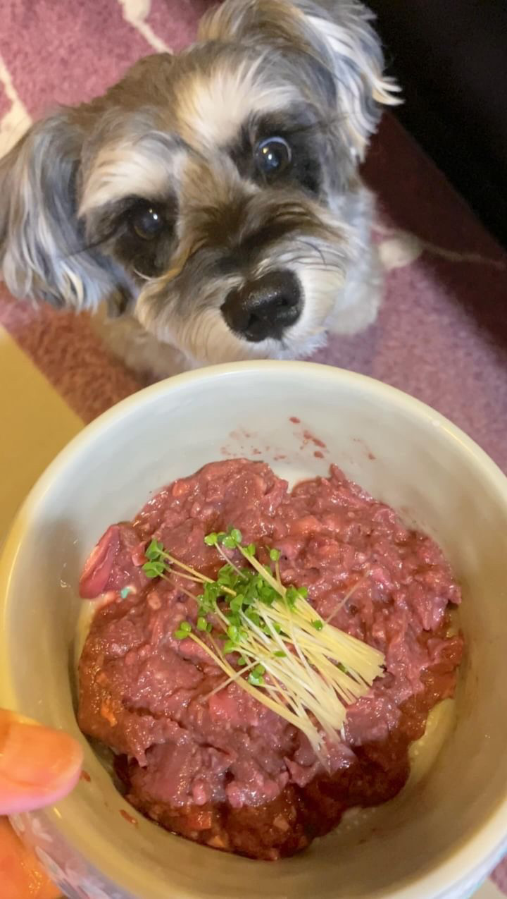 シュルツくん・改善後の様子