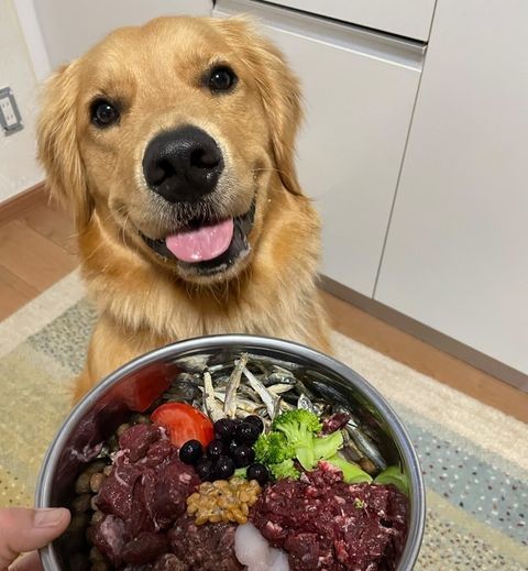 レイくんの写真1