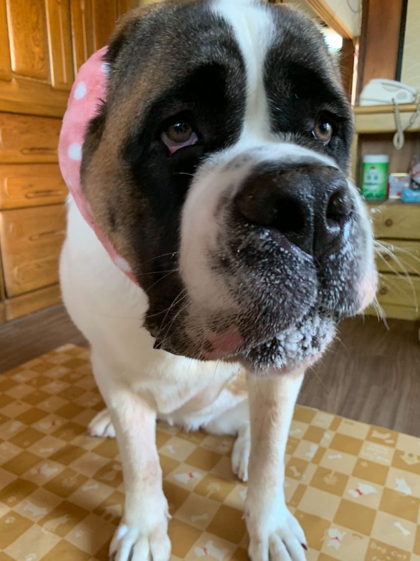 はじめくんとたおちゃんの写真