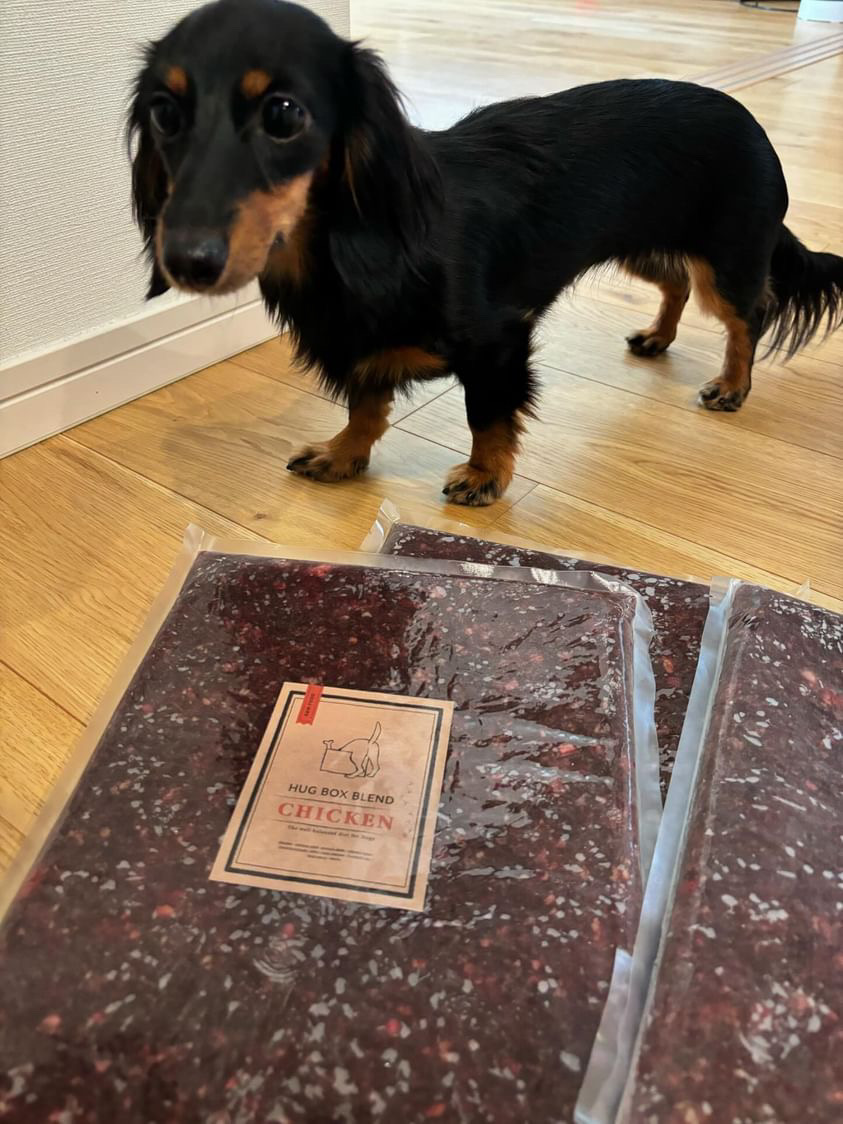 HUGBOXチキンブレンドとベルちゃんの写真