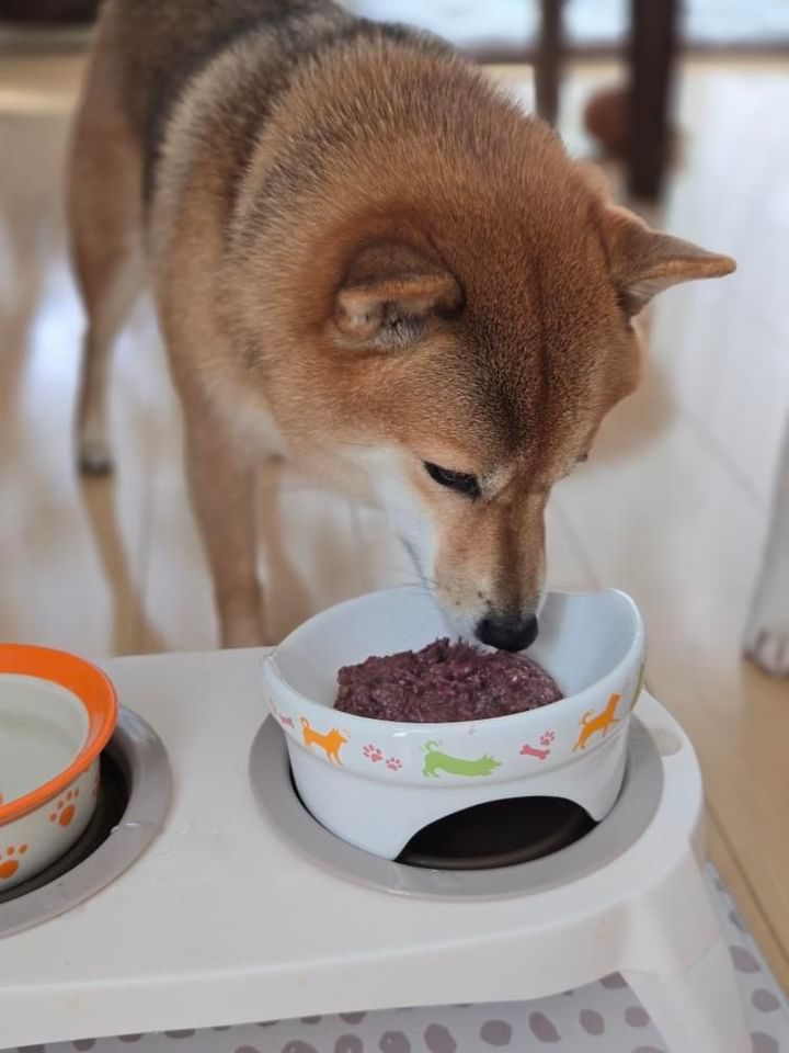 らむちゃん 改善後の写真