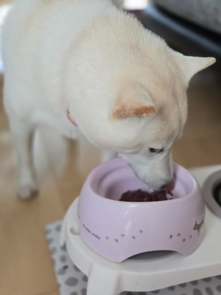 るんちゃん 改善後の写真