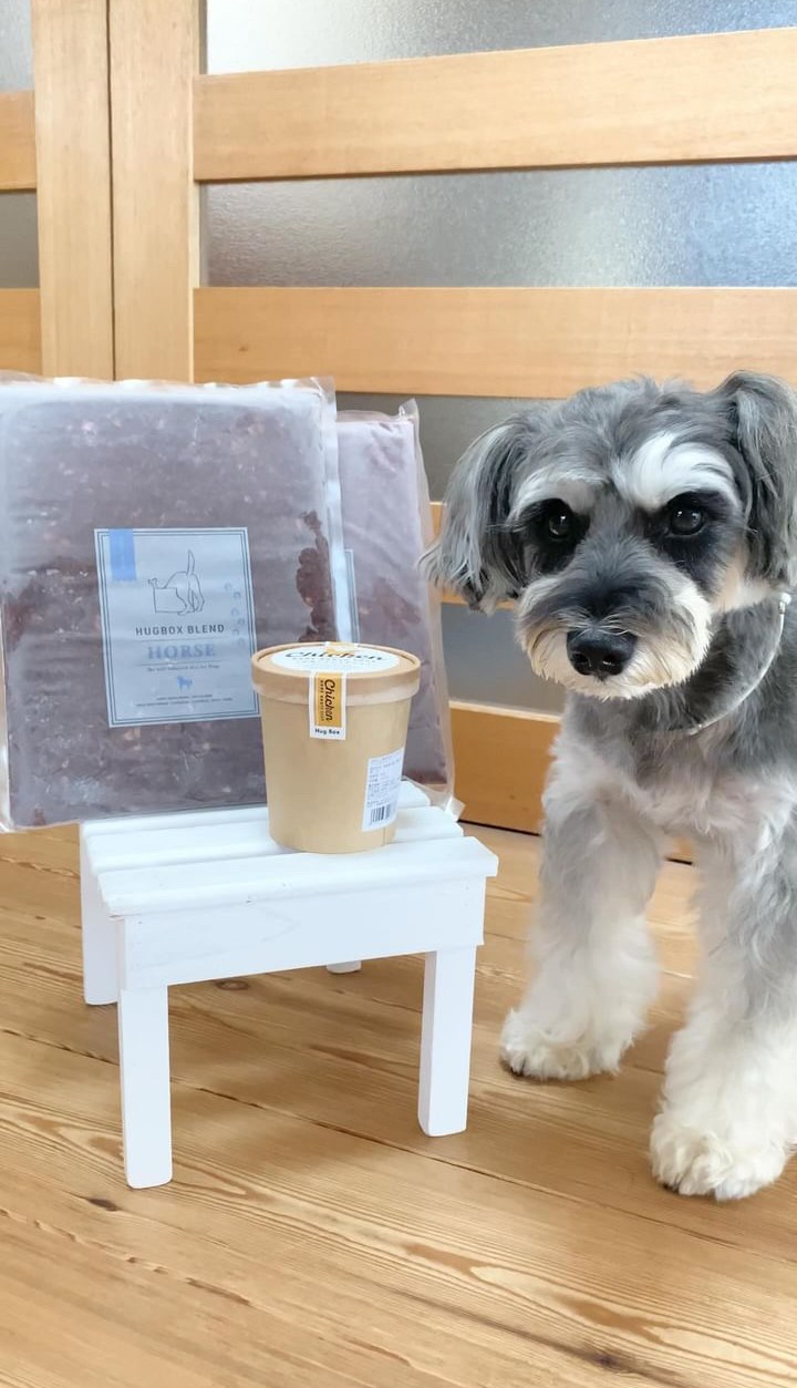 シュルツくんとHUGBOX商品の写真