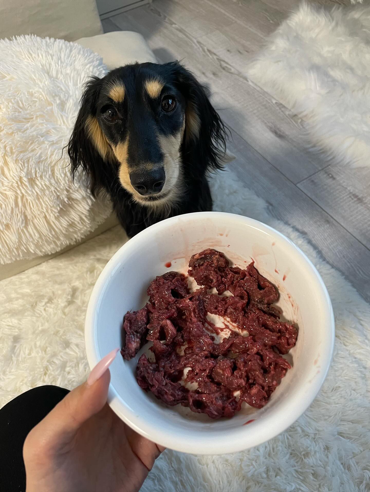 飼い主様のコメント写真