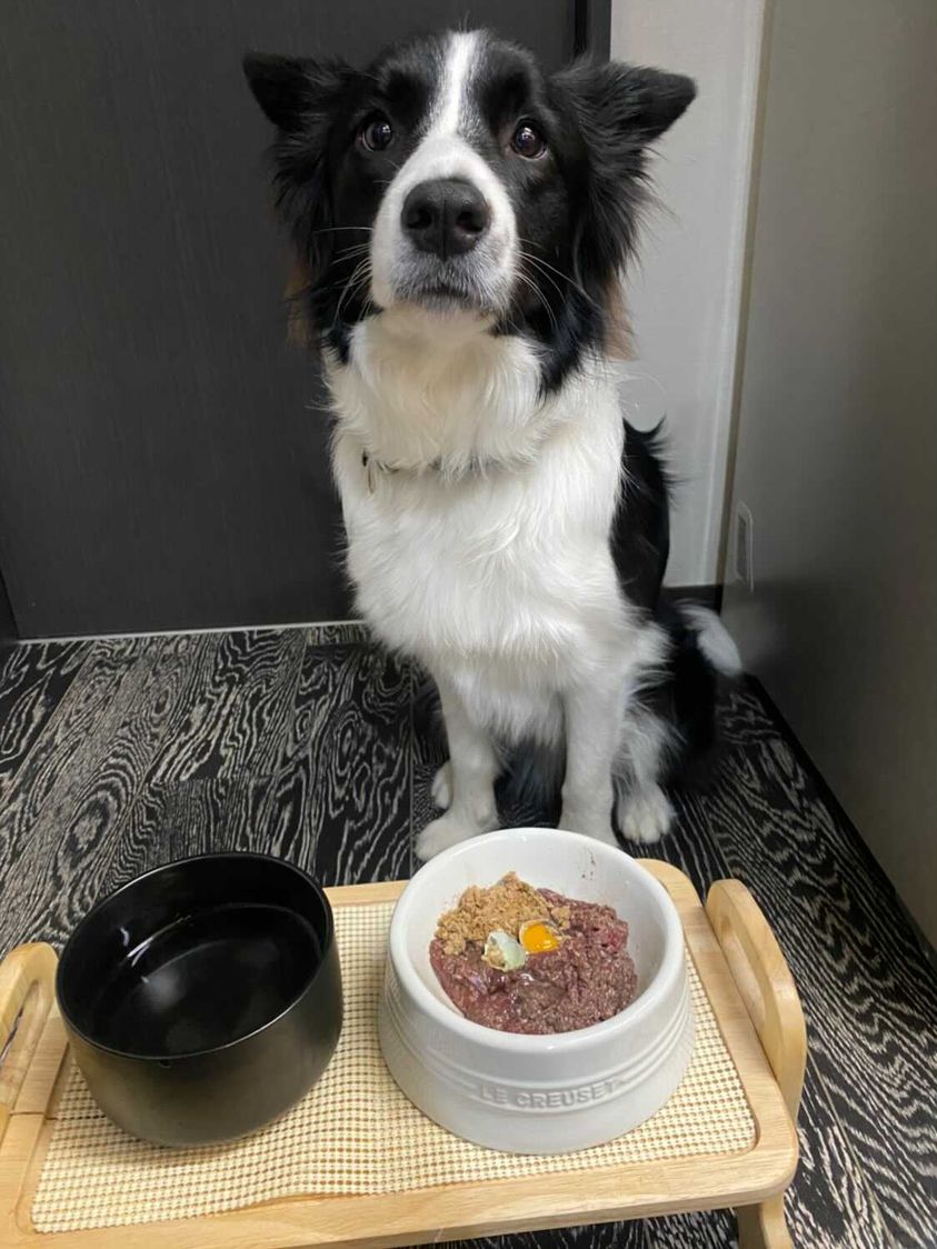 DomくんとHUGBOXの写真