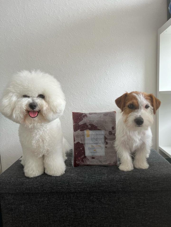 HUGBOXを始めたFinleyちゃんとBaileyちゃんの写真