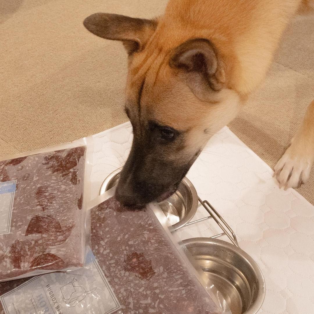 どんぐりくんとHUGBOXの生肉（生食）の写真