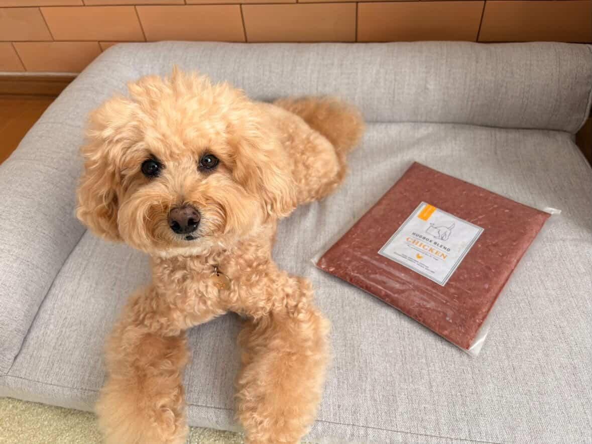 食べムラに悩んでいた頃のゆずくんの写真