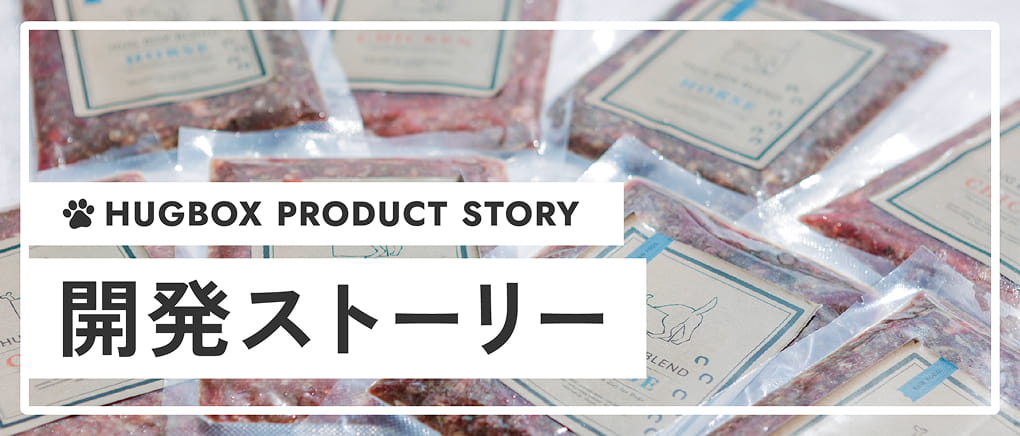 開発ストーリー