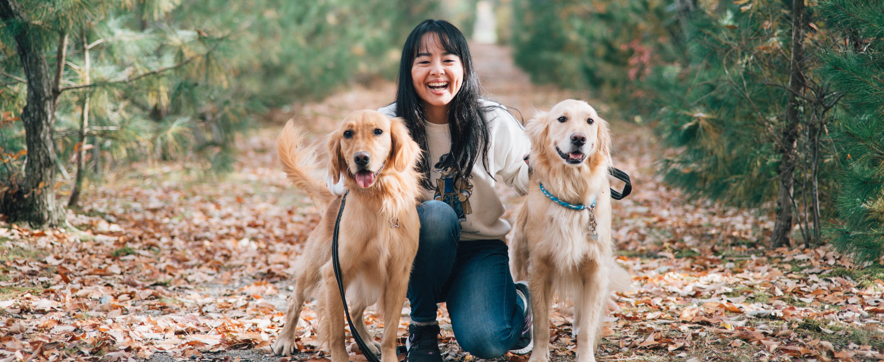 hugboxの食事を食べる犬