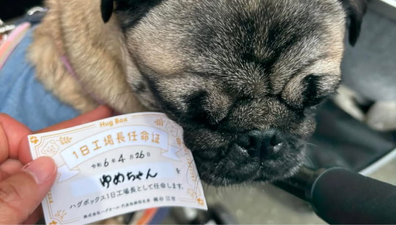 HUGBOX工場見学会