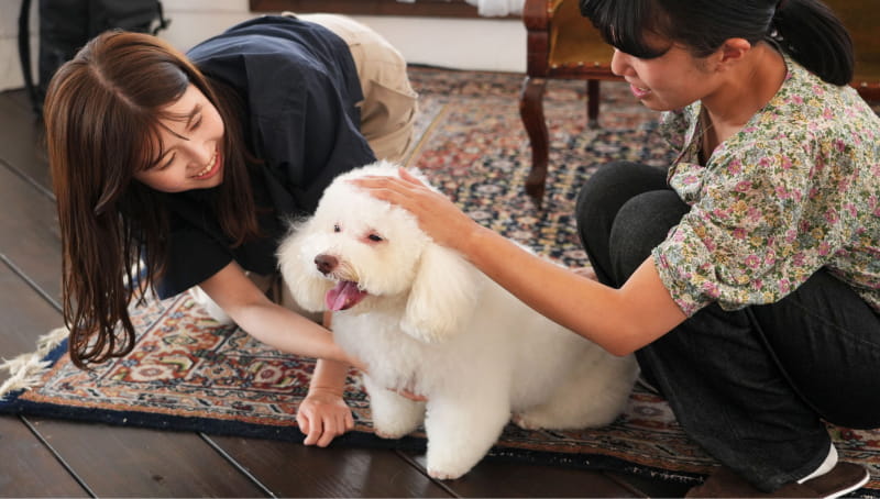 写真撮影会へのご招待