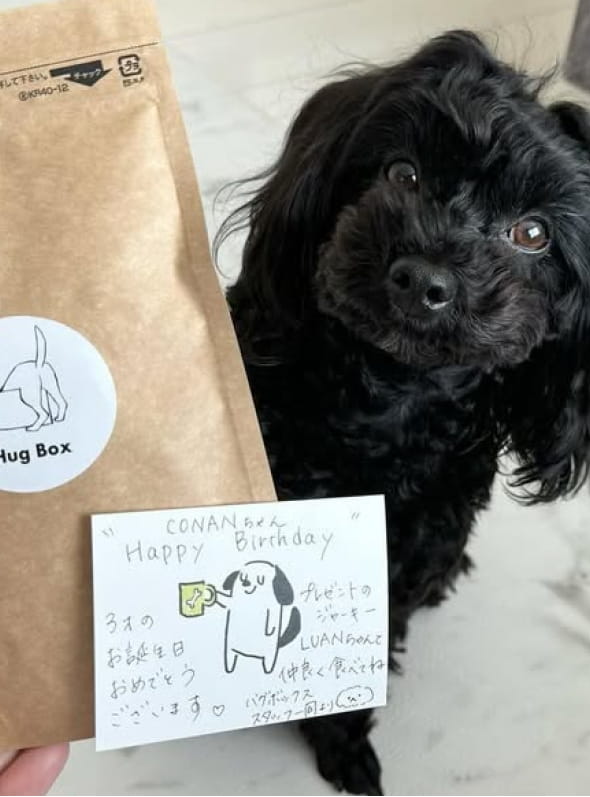誕生日プレゼントとメンバー犬