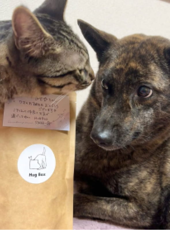 誕生日プレゼントとメンバー犬と猫