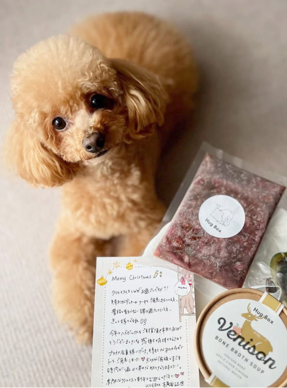 クリスマスプレゼントとメンバー犬