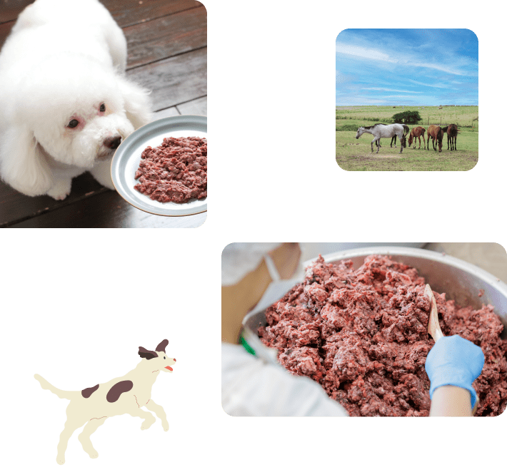 生肉フードイメージ