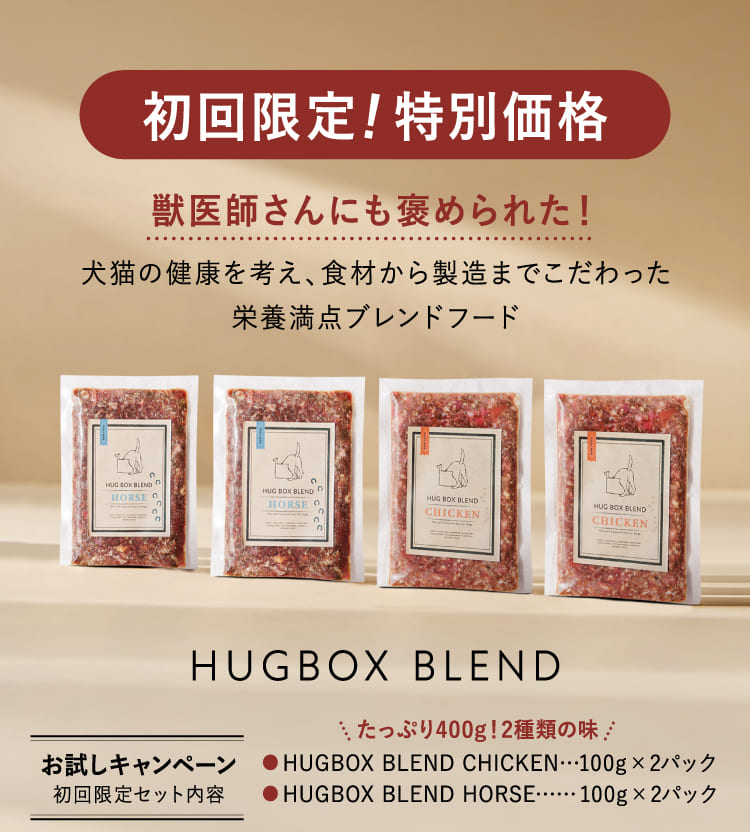 初回限定!特別価格