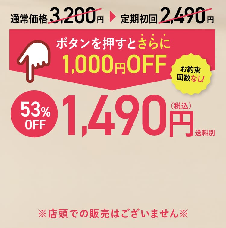 53%OFF 1,490円（税込）