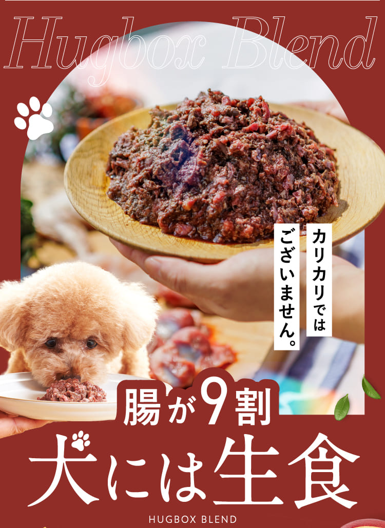 腸が9割犬には生食