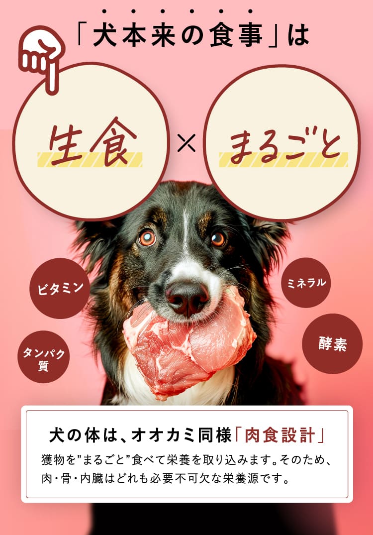 生食Xまるごと