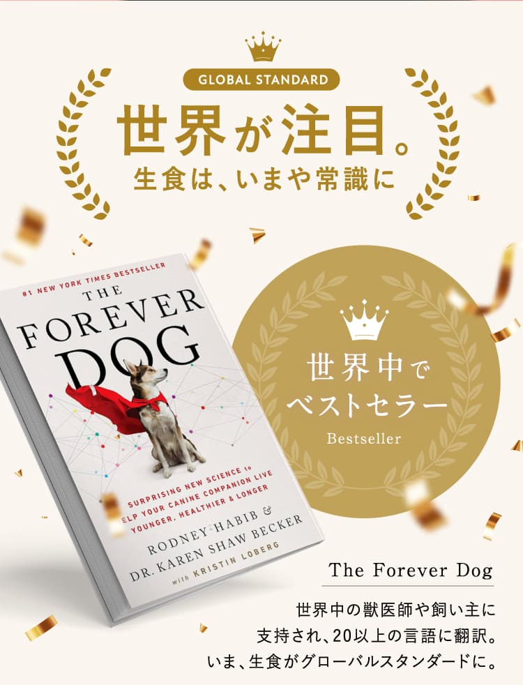 世界が注目