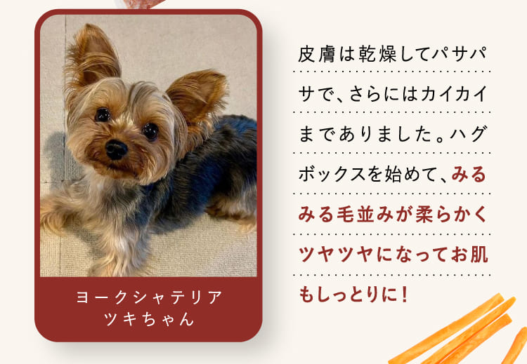 みるみる毛並みが柔らかくツヤツヤになってお肌もしっとりに!