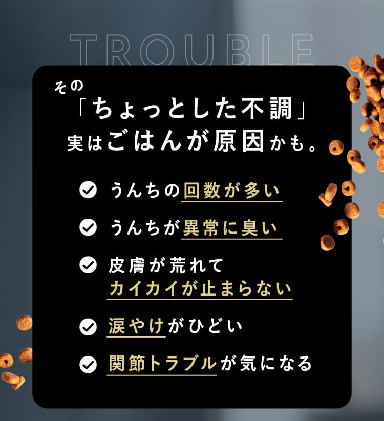 「ちょっとした不調」実はごはんが原因かも。