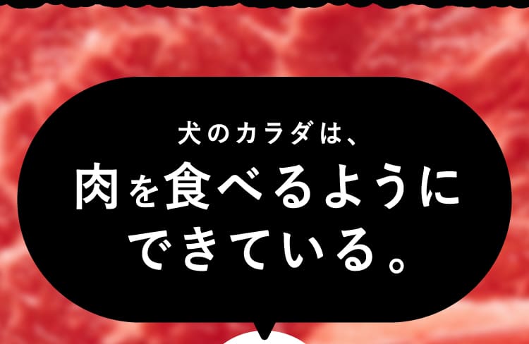 肉を食べるようにできている。