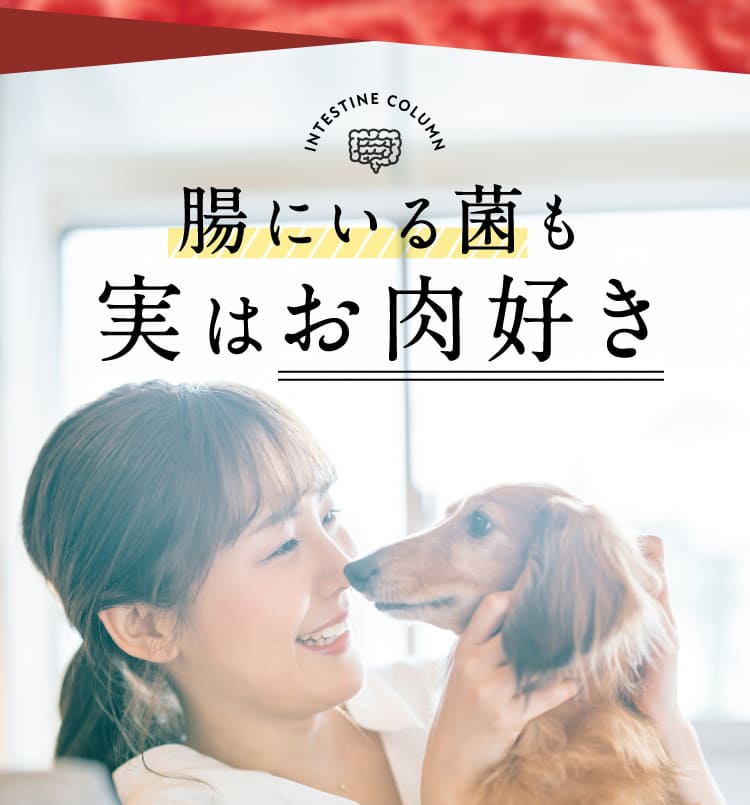 腸にいる菌も実はお肉好き