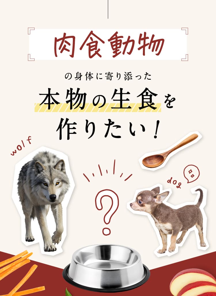 本物の生食を作りたい!