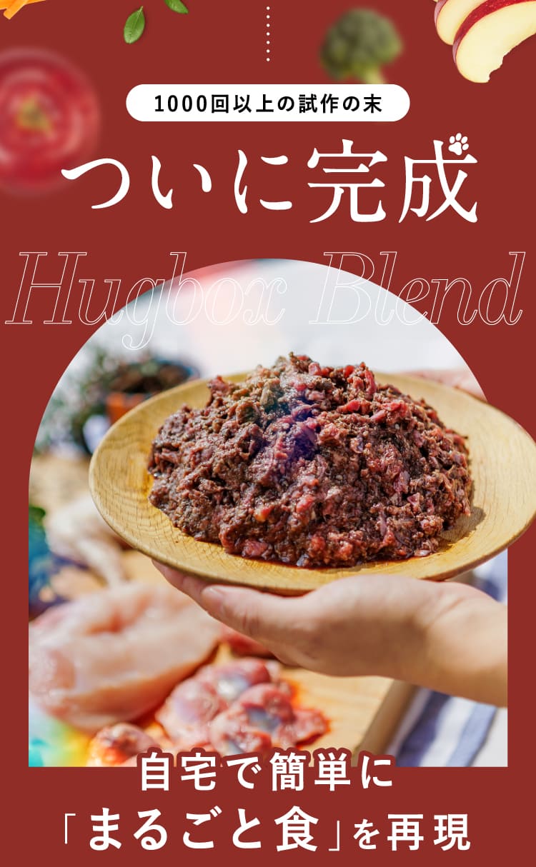ついに完成