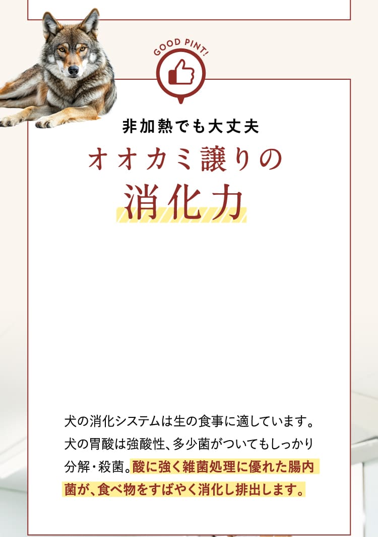 オオカミ譲りの消化力
