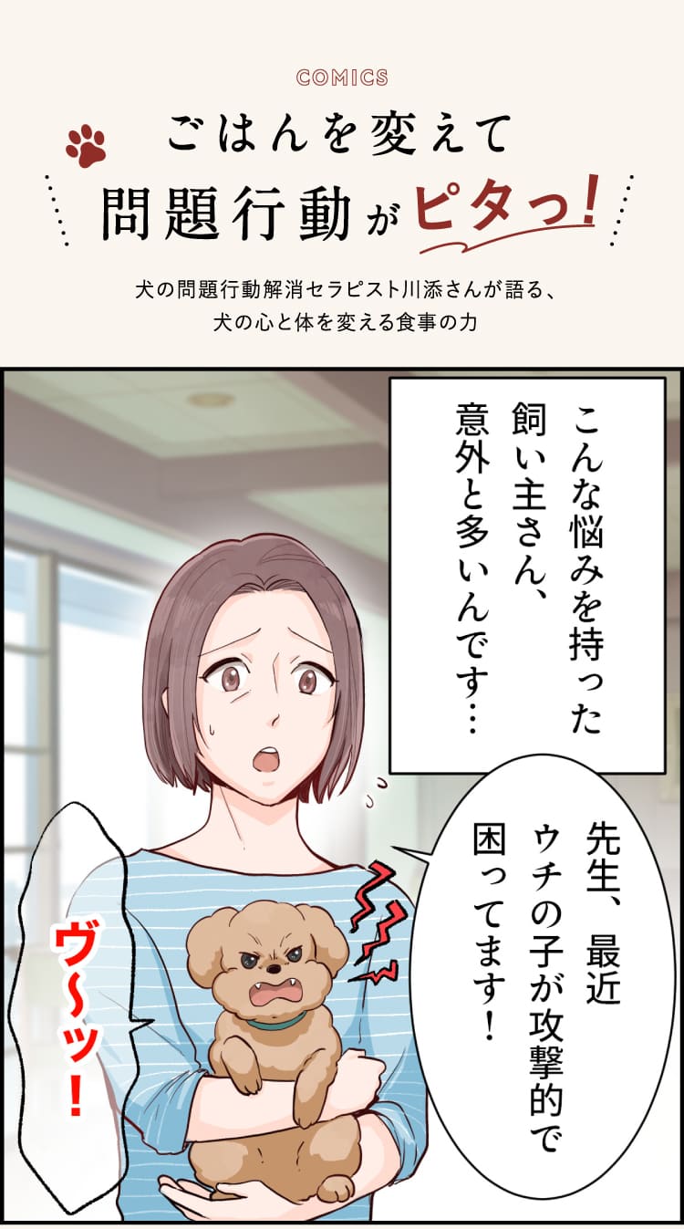 ごはんを変えて問題行動がピタっ!