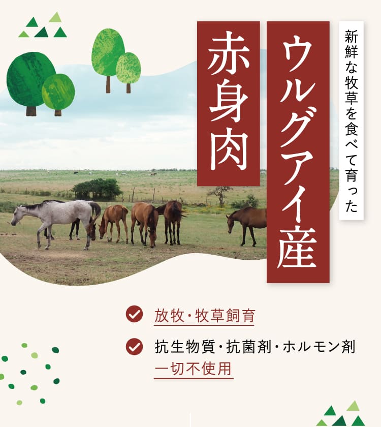 ウルグアイ産赤身肉
