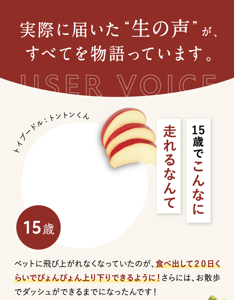実際に届いた生の声が、すべてを物語っています。
