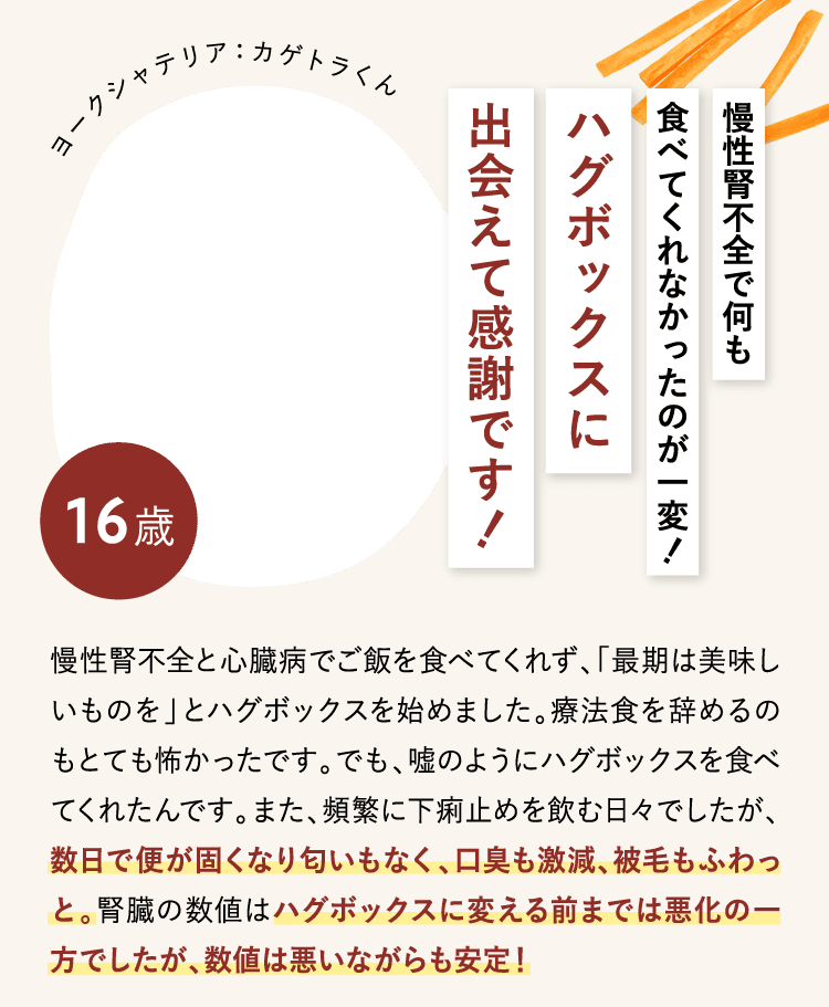 ハグボックスに出会えて感謝です!