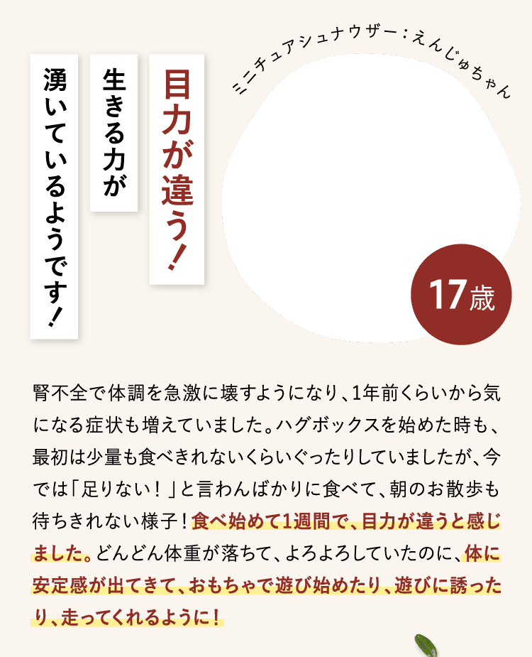目力が違う!